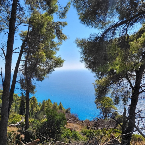 Meet your Posher, Vera - Picture 5 of 15